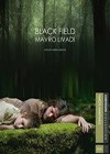 Black Field (2010)4.jpg
